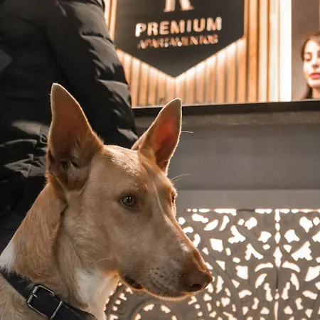 Premium - Calle Granada Lägenhet